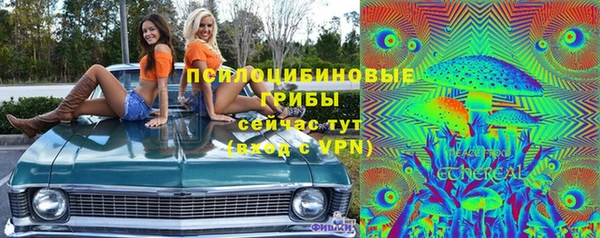 мдпв Лихославль