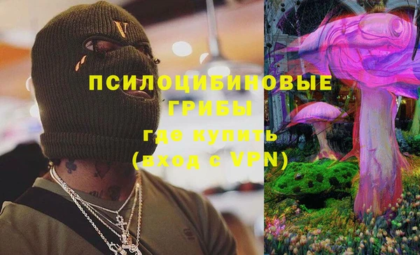 мдпв Лихославль